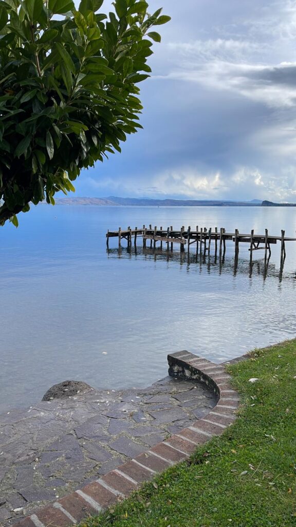 Albero, molo di legno e lago sotto cielo nuvoloso.