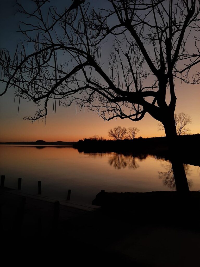Albero spoglio al tramonto riflesso sull'acqua.