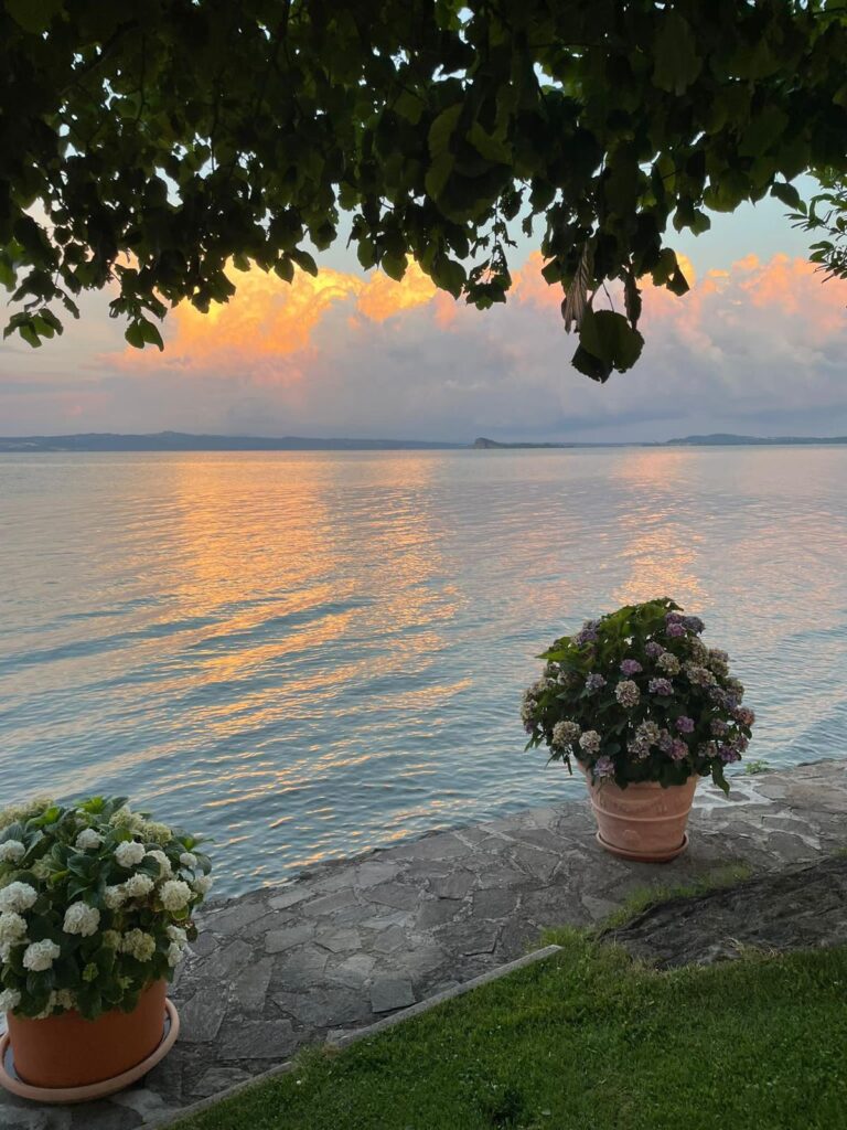 Tramonto sul lago con fiori in primo piano.