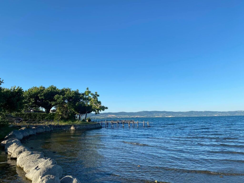 Spiaggia con alberi, molo e acqua sotto cielo sereno.