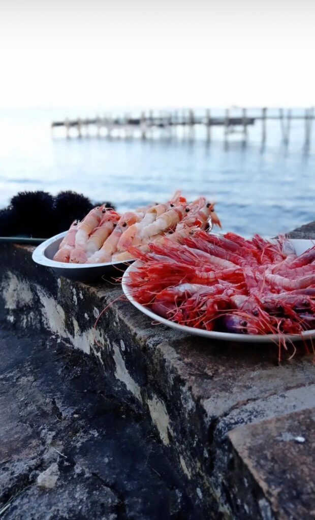 Piatti di gamberi freschi su muretto vicino al mare.