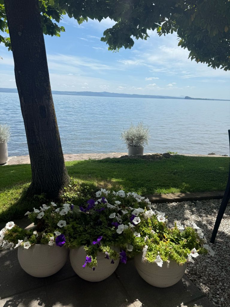 Vasi di fiori davanti a un lago sereno.