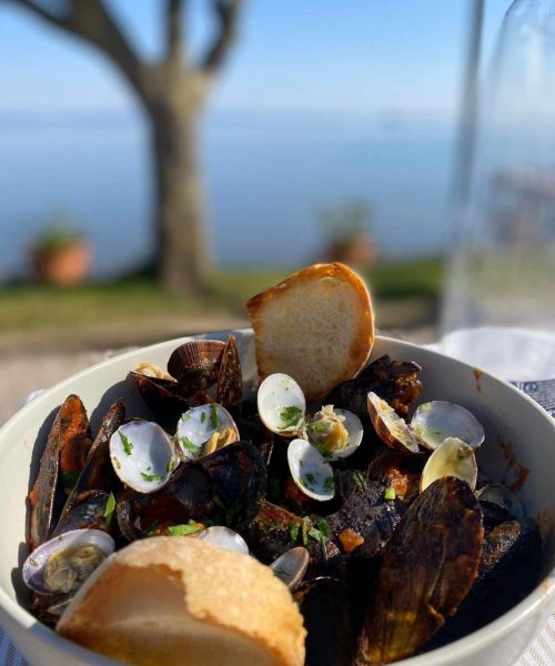 Schüssel mit Muscheln und Venusmuscheln mit knusprigem Brot.