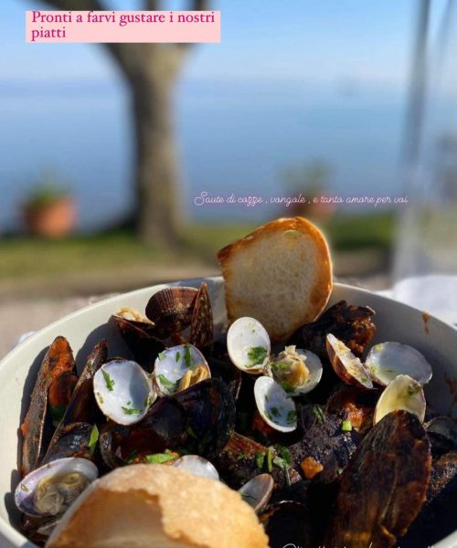 Schüssel mit Muscheln und Venusmuscheln mit geröstetem Brot.